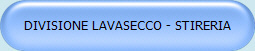 DIVISIONE LAVASECCO - STIRERIA